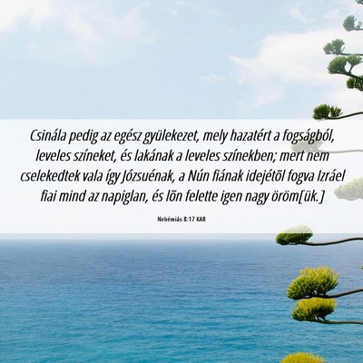 Picture 06 - Nehémiás 8:17 KAR - Csinála pedig az egész gyülekezet, mely - Bible Verse Picture
