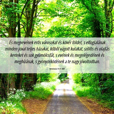 Picture 06 - Nehémiás 9:25 KAR - És megvevének erõs városokat és kövér - Bible Verse Picture
