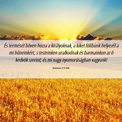 Picture 06 - Nehémiás 9:37 KAR - És termését bõven hozza a királyoknak, a - Bible Verse Picture