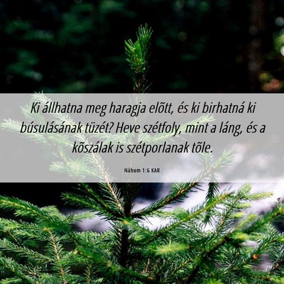 Picture 06 - Náhum 1:6 KAR - Ki állhatna meg haragja elõtt, és ki birhatná - Bible Verse Picture