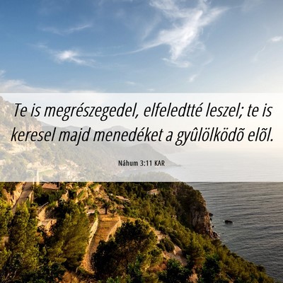 Picture 06 - Náhum 3:11 KAR - Te is megrészegedel, elfeledtté leszel; te is - Bible Verse Picture