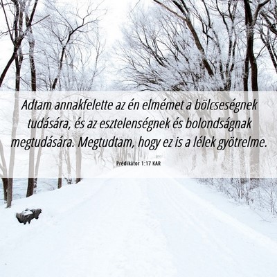 Picture 06 - Prédikátor 1:17 KAR - Adtam annakfelette az én elmémet a - Bible Verse Picture