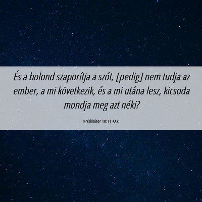 Picture 06 - Prédikátor 10:11 KAR - És a bolond szaporítja a szót, [pedig] nem - Bible Verse Picture