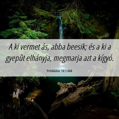 Picture 06 - Prédikátor 10:5 KAR - A ki vermet ás, abba beesik; és a ki a gyepût - Bible Verse Picture