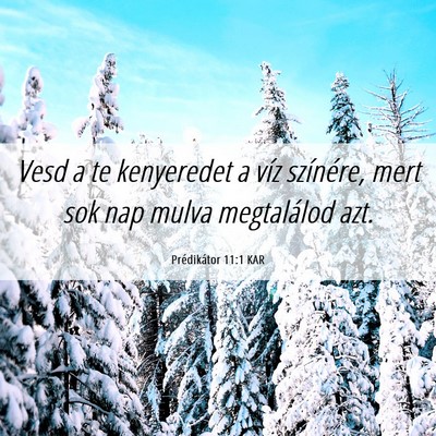 Picture 06 - Prédikátor 11:1 KAR - Vesd a te kenyeredet a víz színére, mert sok - Bible Verse Picture