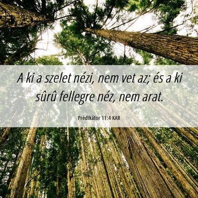 Picture 06 - Prédikátor 11:4 KAR - A ki a szelet nézi, nem vet az; és a ki sûrû - Bible Verse Picture
