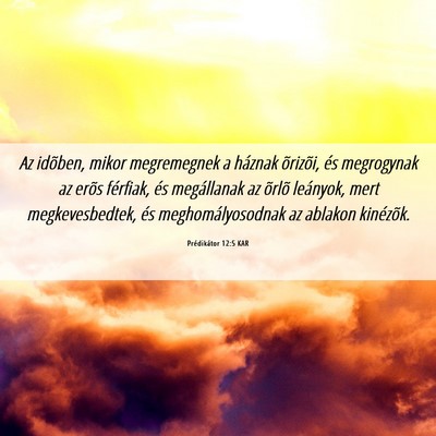 Picture 06 - Prédikátor 12:5 KAR - Az idõben, mikor megremegnek a háznak õrizõi, - Bible Verse Picture