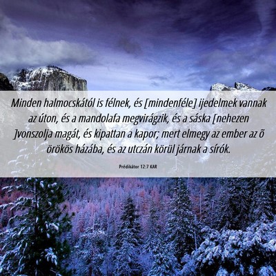 Picture 06 - Prédikátor 12:7 KAR - Minden halmocskától is félnek, és - Bible Verse Picture