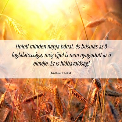 Picture 06 - Prédikátor 2:24 KAR - Holott minden napja bánat, és búsulás az õ - Bible Verse Picture
