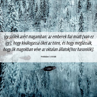 Picture 06 - Prédikátor 3:18 KAR - Így szólék azért magamban: az emberek fiai - Bible Verse Picture