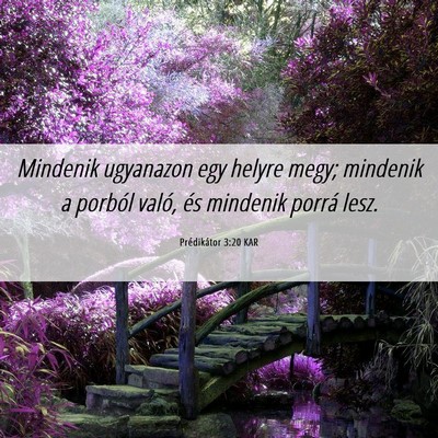 Picture 06 - Prédikátor 3:20 KAR - Mindenik ugyanazon egy helyre megy; mindenik a - Bible Verse Picture