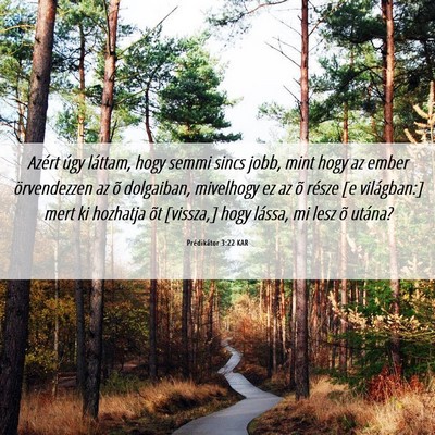 Picture 06 - Prédikátor 3:22 KAR - Azért úgy láttam, hogy semmi sincs jobb, mint - Bible Verse Picture
