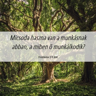 Picture 06 - Prédikátor 3:9 KAR - Micsoda haszna van a munkásnak abban, a miben õ - Bible Verse Picture