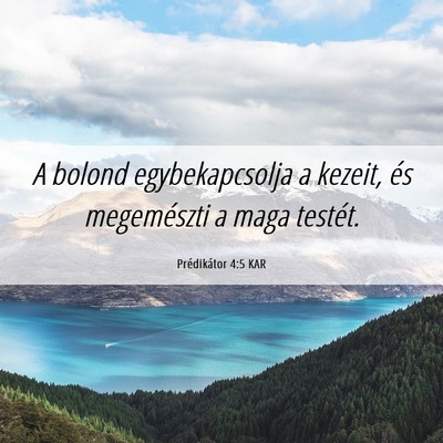Picture 06 - Prédikátor 4:5 KAR - A bolond egybekapcsolja a kezeit, és megemészti - Bible Verse Picture