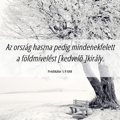 Picture 06 - Prédikátor 5:9 KAR - Az ország haszna pedig mindenekfelett a - Bible Verse Picture