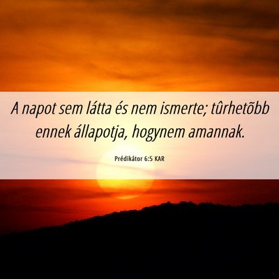 Picture 06 - Prédikátor 6:5 KAR - A napot sem látta és nem ismerte; tûrhetõbb - Bible Verse Picture