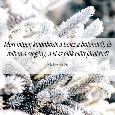 Picture 06 - Prédikátor 6:8 KAR - Mert miben különbözik a bölcs a bolondtól, - Bible Verse Picture