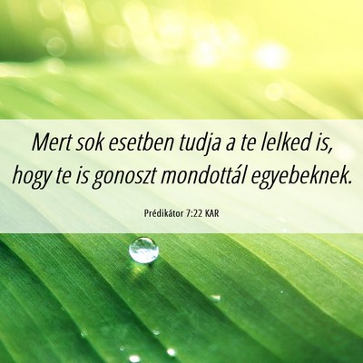 Picture 06 - Prédikátor 7:22 KAR - Mert sok esetben tudja a te lelked is, hogy te is - Bible Verse Picture