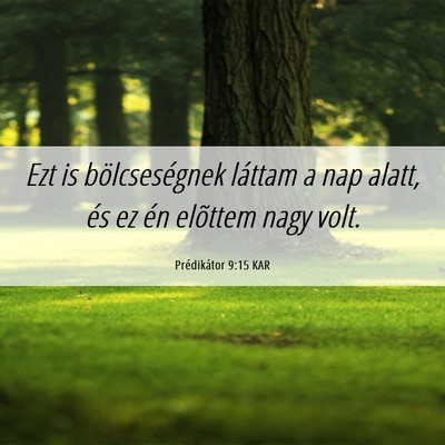 Picture 06 - Prédikátor 9:15 KAR - Ezt is bölcseségnek láttam a nap alatt, és ez - Bible Verse Picture