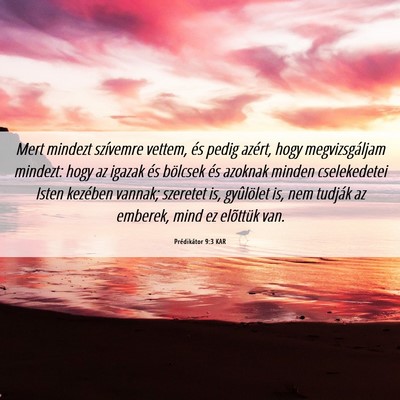 Picture 06 - Prédikátor 9:3 KAR - Mert mindezt szívemre vettem, és pedig azért, - Bible Verse Picture