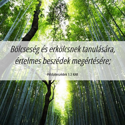 Picture 06 - Példabeszédek 1:2 KAR - Bölcseség és erkölcsnek tanulására, - Bible Verse Picture