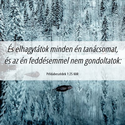 Picture 06 - Példabeszédek 1:25 KAR - És elhagytátok minden én tanácsomat, és az - Bible Verse Picture
