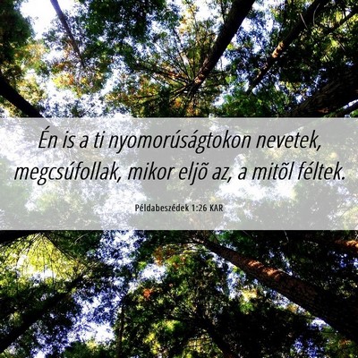 Picture 06 - Példabeszédek 1:26 KAR - Én is a ti nyomorúságtokon nevetek, - Bible Verse Picture