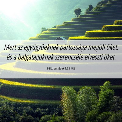 Picture 06 - Példabeszédek 1:32 KAR - Mert az együgyûeknek pártossága megöli - Bible Verse Picture