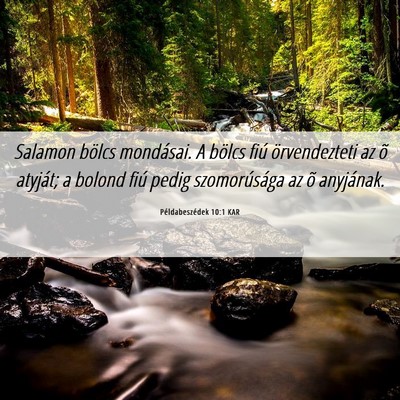 Picture 06 - Példabeszédek 10:1 KAR - Salamon bölcs mondásai. A bölcs fiú - Bible Verse Picture