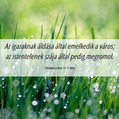 Picture 06 - Példabeszédek 11:11 KAR - Az igazaknak áldása által emelkedik a város; - Bible Verse Picture