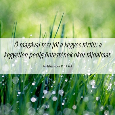 Picture 06 - Példabeszédek 11:17 KAR - Õ magával tesz jól a kegyes férfiú; a - Bible Verse Picture