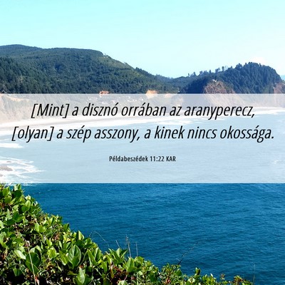 Picture 06 - Példabeszédek 11:22 KAR - [Mint] a disznó orrában az aranyperecz, [olyan] - Bible Verse Picture