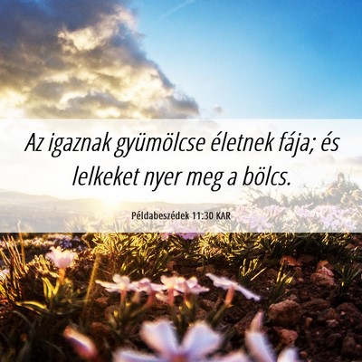 Picture 06 - Példabeszédek 11:30 KAR - Az igaznak gyümölcse életnek fája; és - Bible Verse Picture