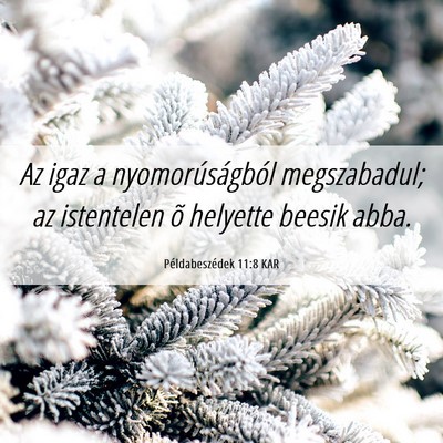 Picture 06 - Példabeszédek 11:8 KAR - Az igaz a nyomorúságból megszabadul; az - Bible Verse Picture