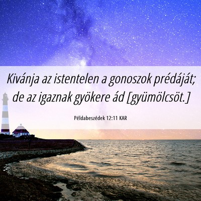 Picture 06 - Példabeszédek 12:11 KAR - Kivánja az istentelen a gonoszok prédáját; de - Bible Verse Picture