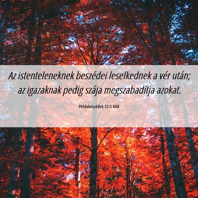 Picture 06 - Példabeszédek 12:5 KAR - Az istenteleneknek beszédei leselkednek a vér - Bible Verse Picture
