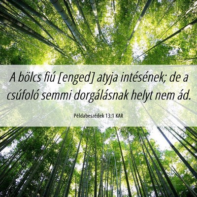 Picture 06 - Példabeszédek 13:1 KAR - A bölcs fiú [enged] atyja intésének; de a - Bible Verse Picture
