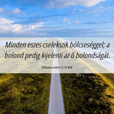 Picture 06 - Példabeszédek 13:16 KAR - Minden eszes cselekszik bölcseséggel; a bolond - Bible Verse Picture