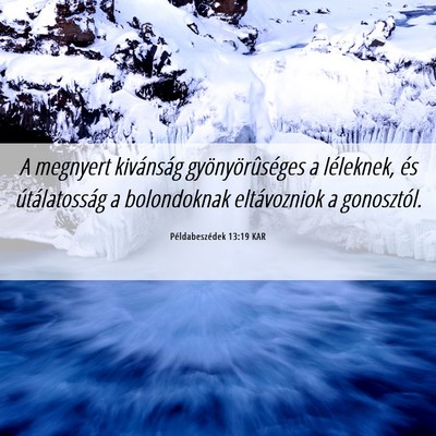 Picture 06 - Példabeszédek 13:19 KAR - A megnyert kivánság gyönyörûséges a - Bible Verse Picture