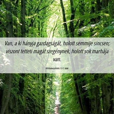 Picture 06 - Példabeszédek 13:7 KAR - Van, a ki hányja gazdagságát, holott semmije - Bible Verse Picture