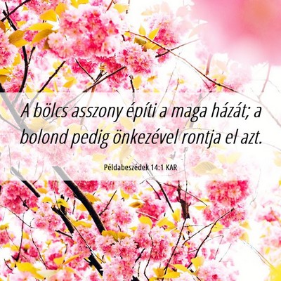 Picture 06 - Példabeszédek 14:1 KAR - A bölcs asszony építi a maga házát; a bolond - Bible Verse Picture