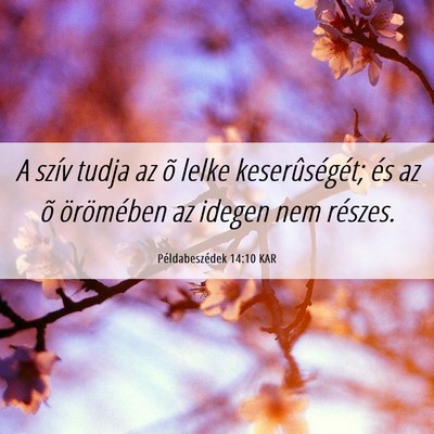 Picture 06 - Példabeszédek 14:10 KAR - A szív tudja az õ lelke keserûségét; és az - Bible Verse Picture