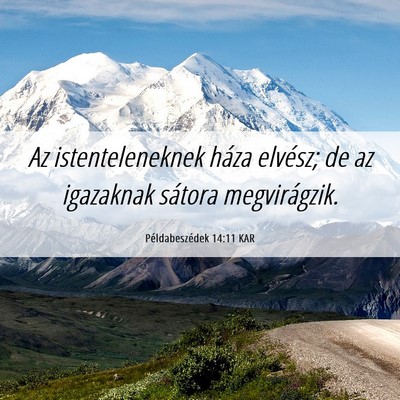Picture 06 - Példabeszédek 14:11 KAR - Az istenteleneknek háza elvész; de az igazaknak - Bible Verse Picture