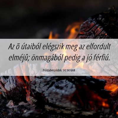 Picture 06 - Példabeszédek 14:14 KAR - Az õ útaiból elégszik meg az elfordult - Bible Verse Picture