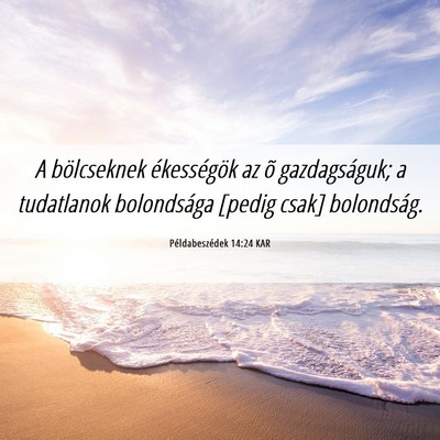 Picture 06 - Példabeszédek 14:24 KAR - A bölcseknek ékességök az õ gazdagságuk; a - Bible Verse Picture