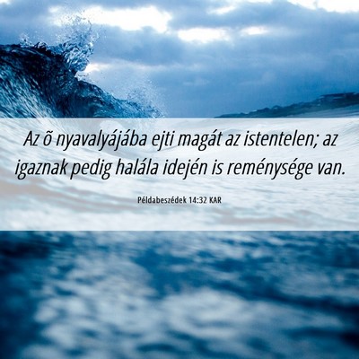 Picture 06 - Példabeszédek 14:32 KAR - Az õ nyavalyájába ejti magát az istentelen; - Bible Verse Picture