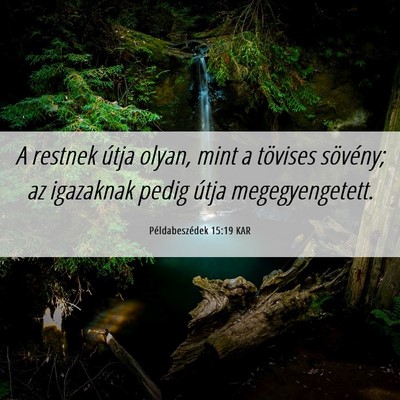 Picture 06 - Példabeszédek 15:19 KAR - A restnek útja olyan, mint a tövises sövény; - Bible Verse Picture