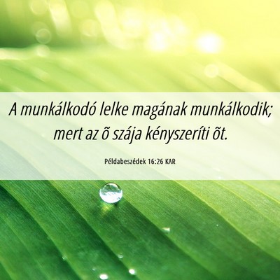 Picture 06 - Példabeszédek 16:26 KAR - A munkálkodó lelke magának munkálkodik; mert - Bible Verse Picture