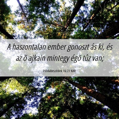Picture 06 - Példabeszédek 16:27 KAR - A haszontalan ember gonoszt ás ki, és az õ - Bible Verse Picture