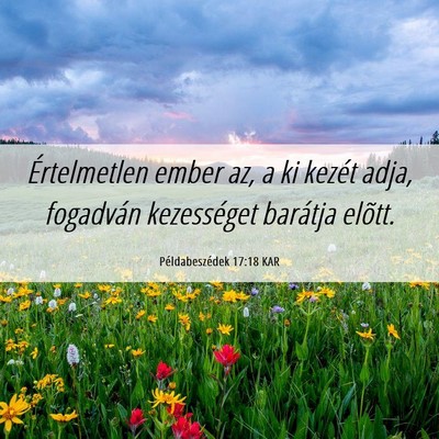Picture 06 - Példabeszédek 17:18 KAR - Értelmetlen ember az, a ki kezét adja, - Bible Verse Picture